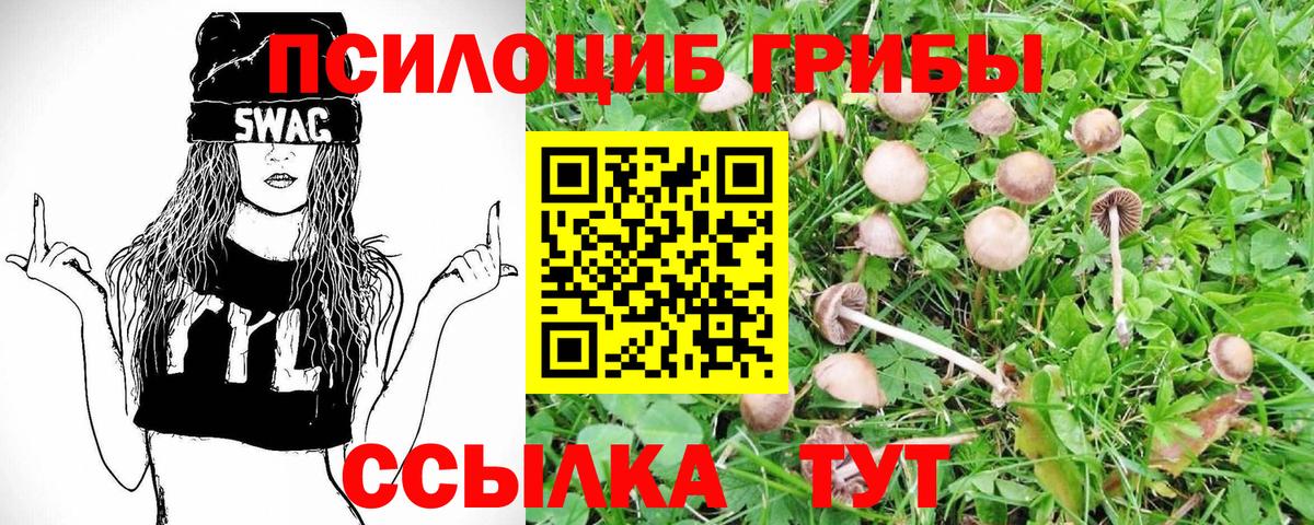 Псилоцибиновые грибы GOLDEN TEACHER  Псилоцибиновые грибы ЛСД  Вход с VPN  Нижневартовск 